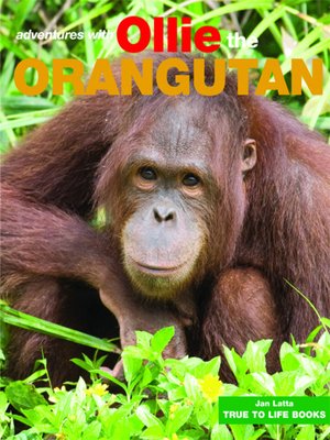 cover image of Ollie the Orangutan